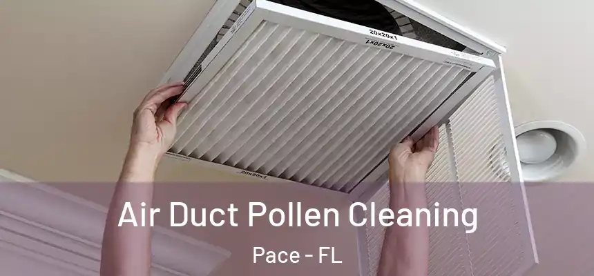 Air Duct Pollen Cleaning Pace - FL