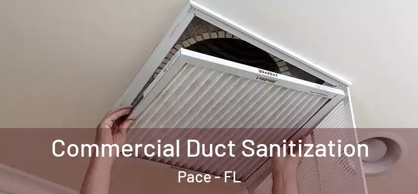  Commercial Duct Sanitization Pace - FL