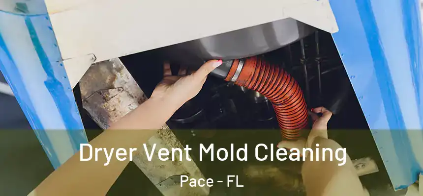 Dryer Vent Mold Cleaning Pace - FL