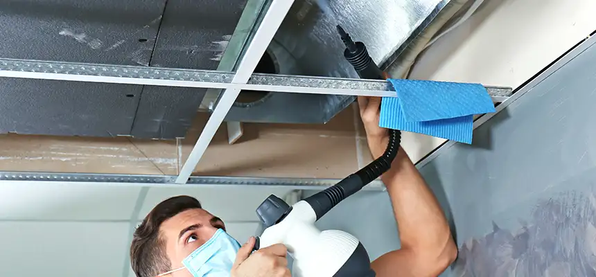 Our Air Duct Rodent Removal Services in Pace, FL