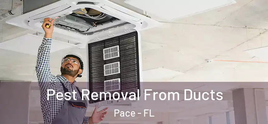  Pest Removal From Ducts Pace - FL