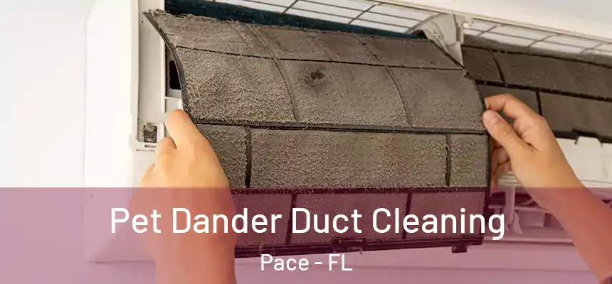  Pet Dander Duct Cleaning Pace - FL