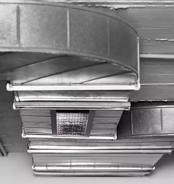 Professional Air Duct Pest Removal in Pace, FL