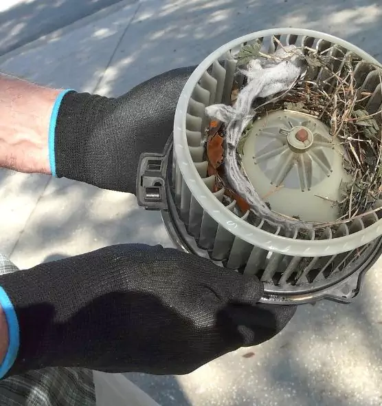 About Air Duct Rat Removal in Pace, FL