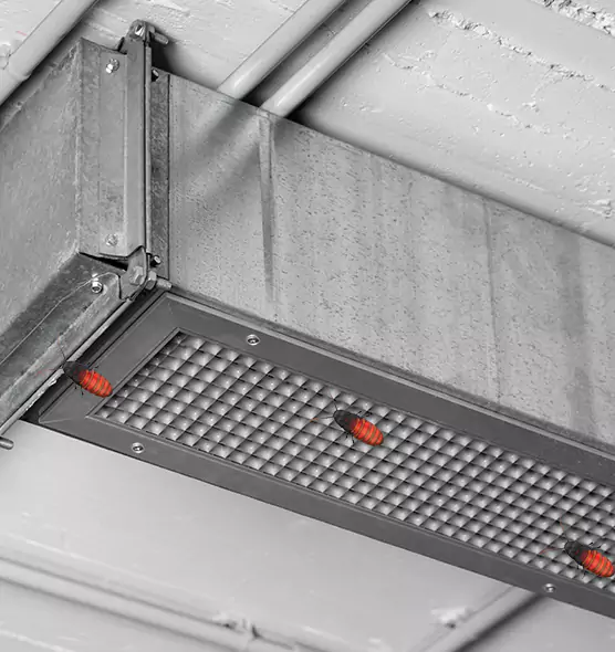 Affordable Insect Removal from Air Ducts in Pace, FL