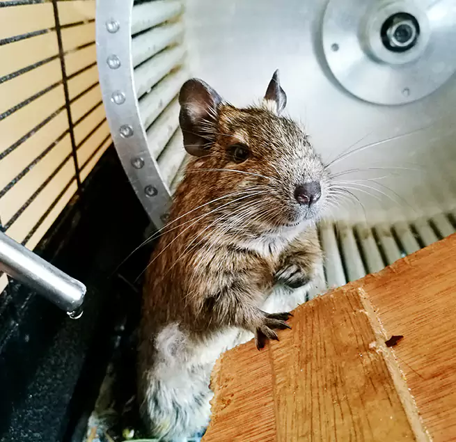 Why Homeowners & Businesses Trust Us Pace, FL?