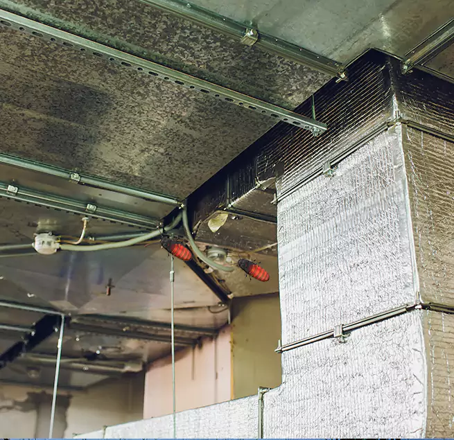 Why Homeowners & Businesses Trust Us Pace, FL?